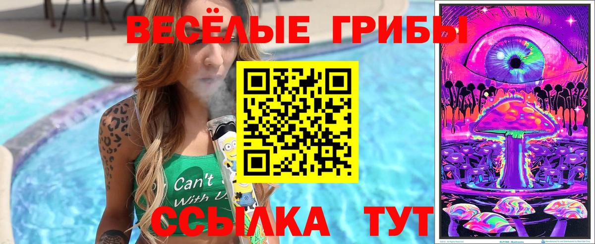 Псилоцибиновые грибы GOLDEN TEACHER Кострома
