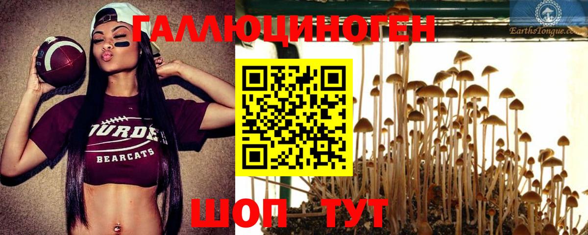 где найти наркотики  Вход с VPN  Кострома  Псилоцибиновые грибы Psilocybine cubensis 