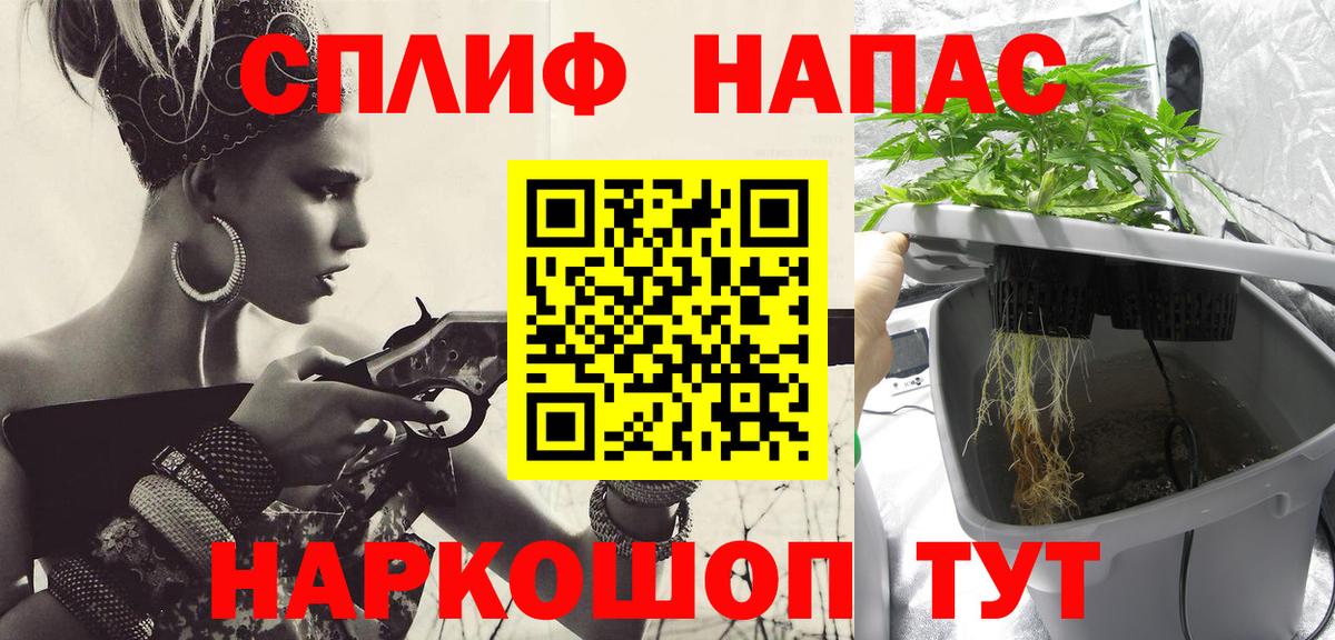 Шишки марихуана AK-47 Кострома